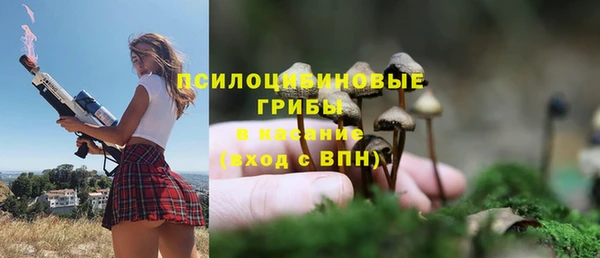 первитин Краснослободск