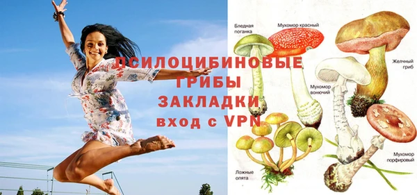 первитин Краснослободск